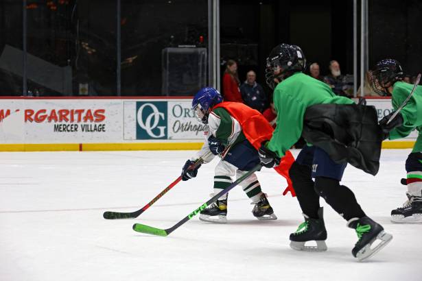 Macon Mayhem 240113_DN_IMG_2427