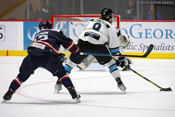 Macon Mayhem 230224_DN_IMG_3464_MHP