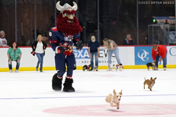 Macon Mayhem 230304_DN_IMG_1516_MHP