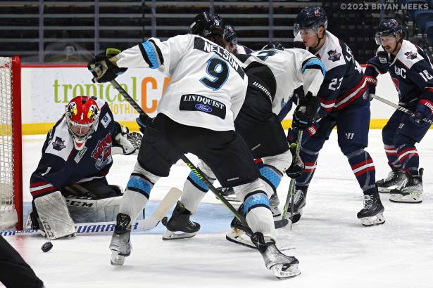 Macon Mayhem 230224_DN_IMG_1751_MHP