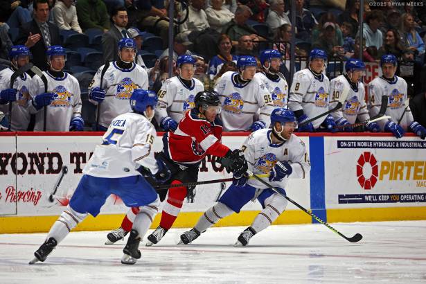 Macon Mayhem_250202_IMG_2645_MHP