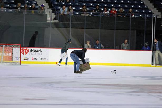 Macon Mayhem 220114_DN_IMG_2042