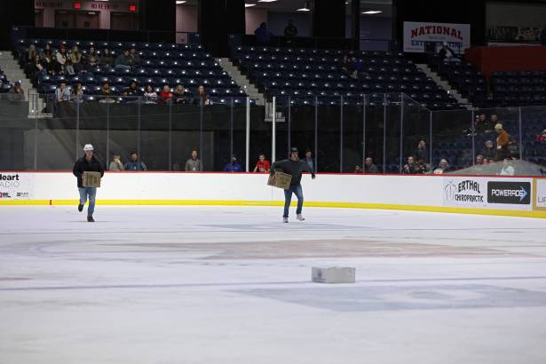 Macon Mayhem 220114_DN_IMG_2001