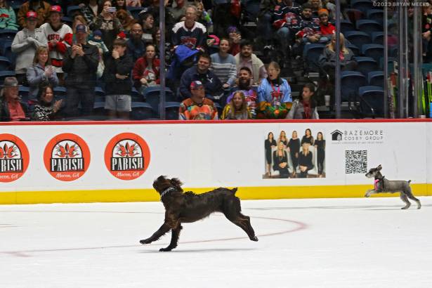 Macon Mayhem 231125_DN_SS_SS_IMG_2226_MHP