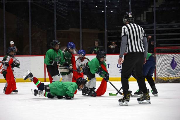 Macon Mayhem 240113_DN_IMG_2441
