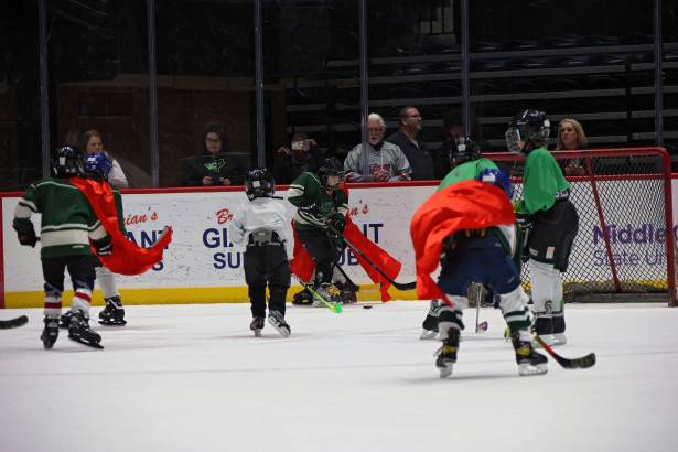 Macon Mayhem 240113_DN_IMG_2326