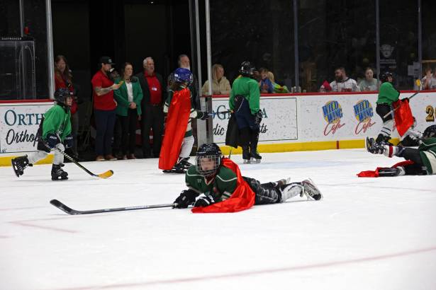 Macon Mayhem 240113_DN_IMG_2535