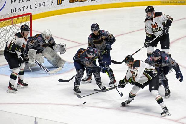 Macon Mayhem 240113_DN_SS_IMG_4671_MHP