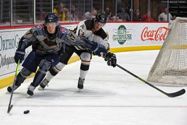 Macon Mayhem 240113_DN_SS_IMG_1702_MHP