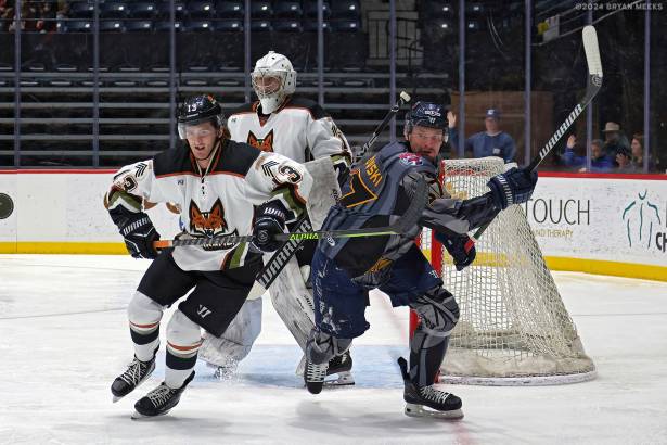 Macon Mayhem 240113_DN_SS_IMG_1343_MHP