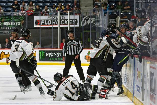 Macon Mayhem 240113_DN_SS_IMG_1926_MHP