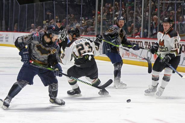 Macon Mayhem 240113_DN_SS_IMG_3163_MHP