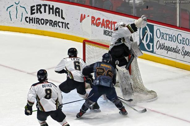 Macon Mayhem 240113_DN_SS_IMG_5133_MHP