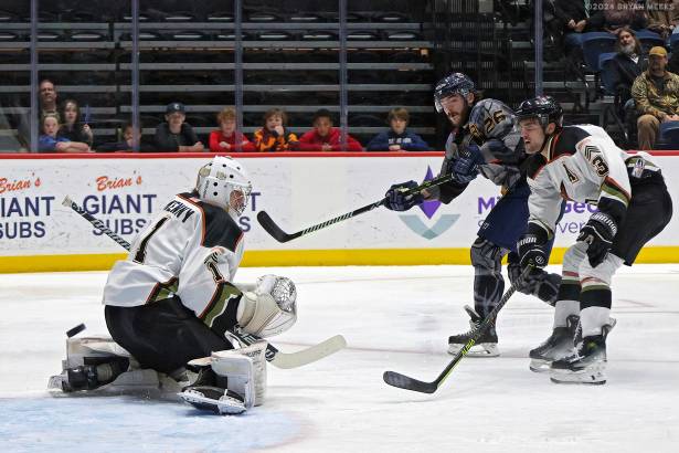 Macon Mayhem 240113_DN_SS_IMG_1393_MHP