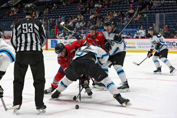 Macon Mayhem 240115_DN_SS_IMG_2889_MHP