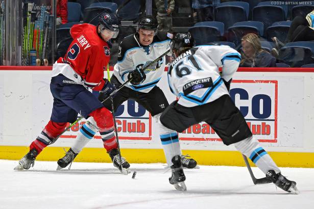 Macon Mayhem 240115_DN_SS_IMG_2593_MHP