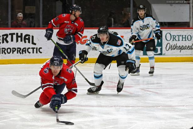 Macon Mayhem 240115_DN_SS_IMG_4787_MHP