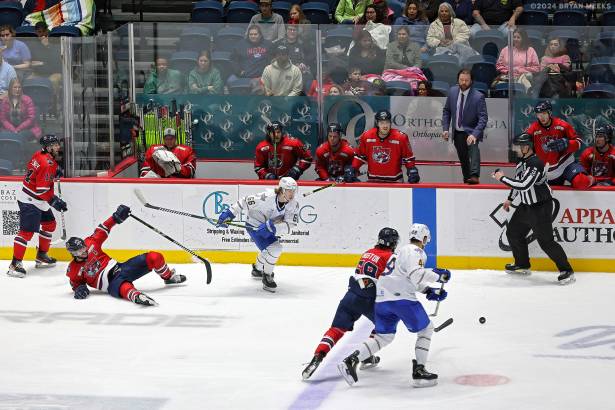 Macon Mayhem 240202_DN_SS_IMG_5485_MHP