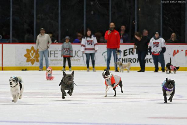 Macon Mayhem 240224_DN_SS_IMG_2855_MHP