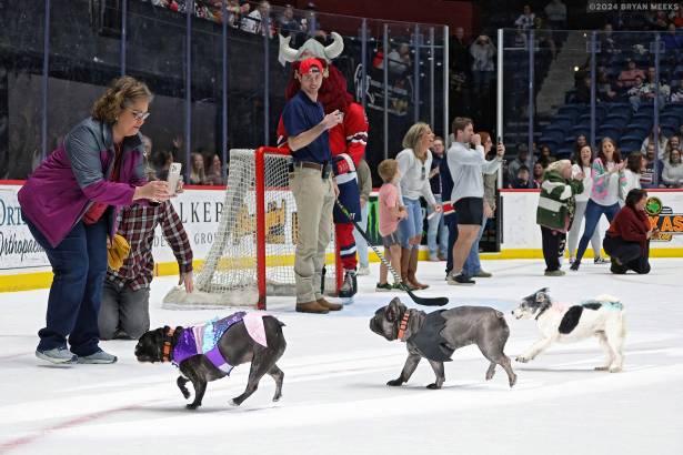 Macon Mayhem 240224_DN_SS_IMG_2871_MHP
