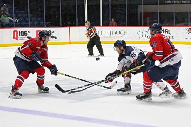Macon Mayhem 240315_DN_SS_IMG_5963_MHP