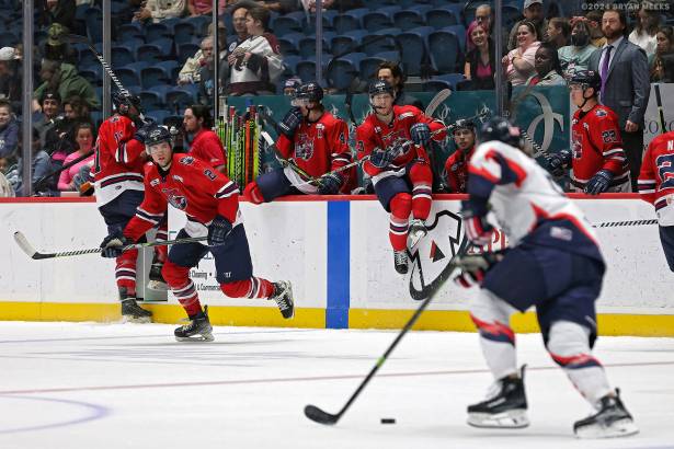 Macon Mayhem 240315_DN_SS_IMG_2432_MHP