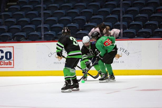 Macon Mayhem 240316_DN_IMG_0283