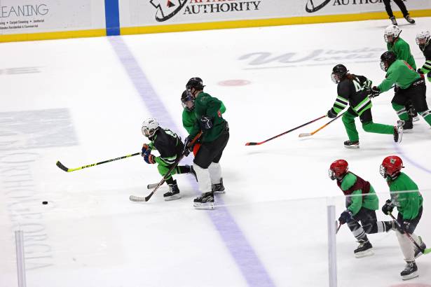 Macon Mayhem 240316_DN_IMG_0588