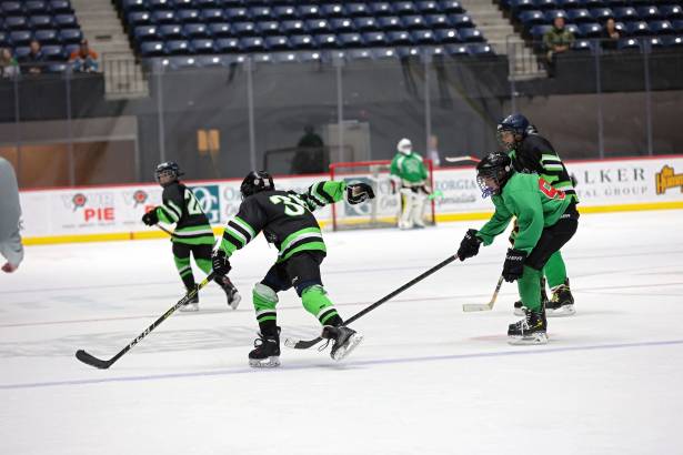 Macon Mayhem 240316_DN_IMG_0304