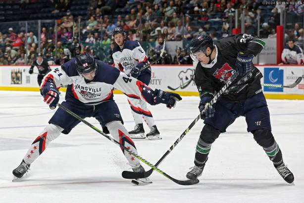 Macon Mayhem 240316_DN_SS_IMG_2589_MHP