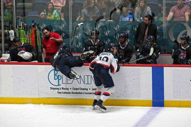 Macon Mayhem 240316_DN_SS_IMG_5784_MHP