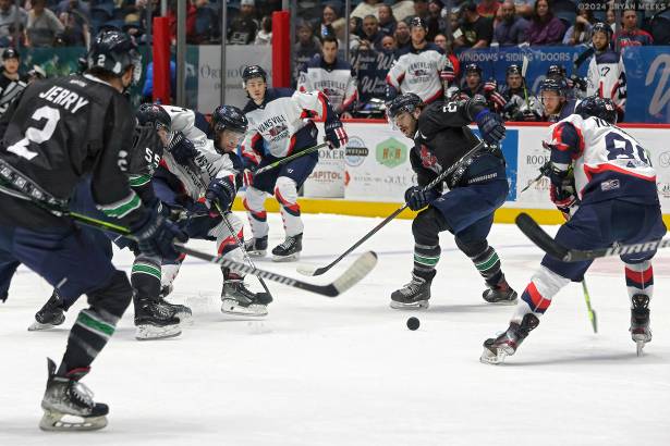 Macon Mayhem 240316_DN_SS_IMG_2496_MHP