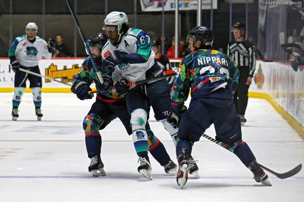 Macon Mayhem 240323_DN_SS_IMG_3845_MHP