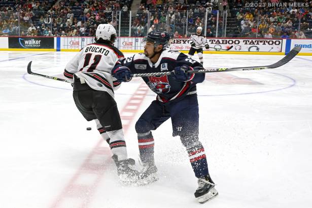 Macon Mayhem 230205_DN_IMG_5384_MHP