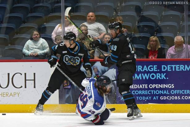 Macon Mayhem 230225_DN_IMG_1270_MHP