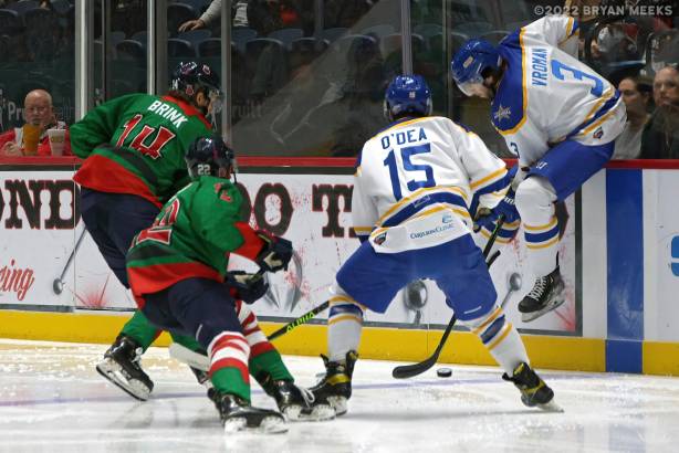 Macon Mayhem 221217_DN_IMG_2319_MHP