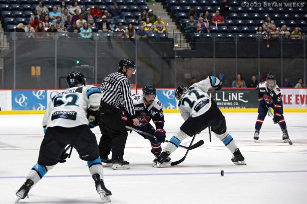 Macon Mayhem 230224_DN_IMG_1243_MHP