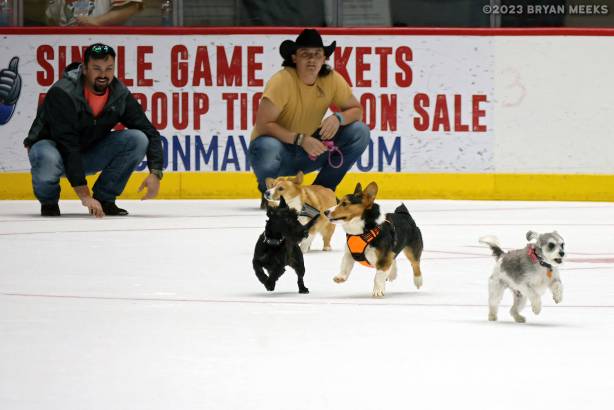 Macon Mayhem 230304_DN_IMG_1410_MHP