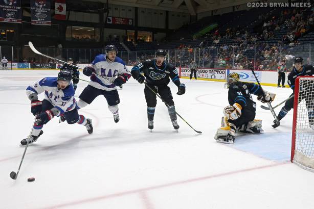 Macon Mayhem 230225_DN_IMG_5790_MHP