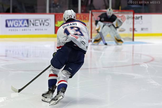 Macon Mayhem 211113_DN_IMG_2591_MHP