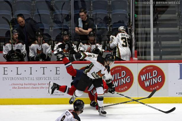 Macon Mayhem 211114_DN_IMG_2366_MHP