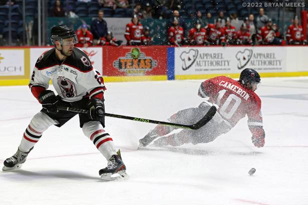 Macon Mayhem 220113_DN_IMG_2445_MHP