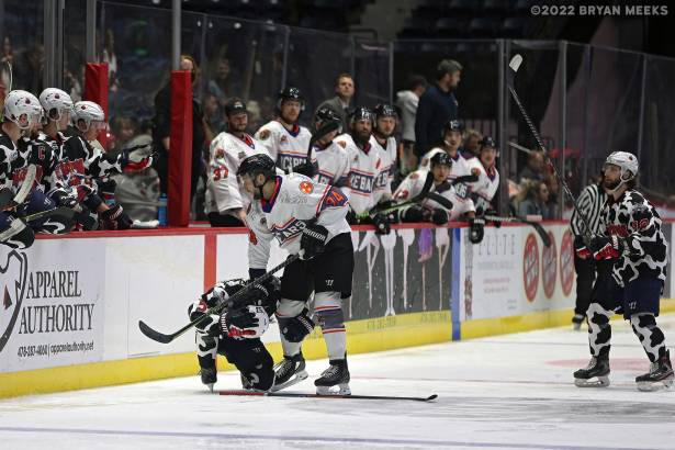 Macon Mayhem 220115_DN_IMG_1818_MHP