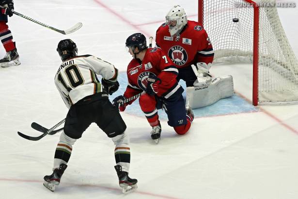 Macon Mayhem 220218_DN_IMG_1621_MHP