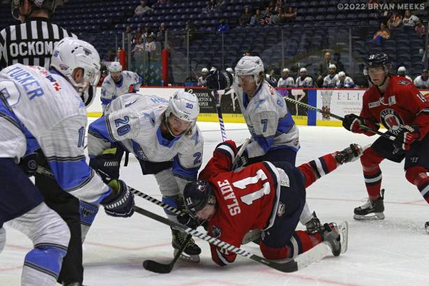 Macon Mayhem 220303_DN_IMG_10405_MHP