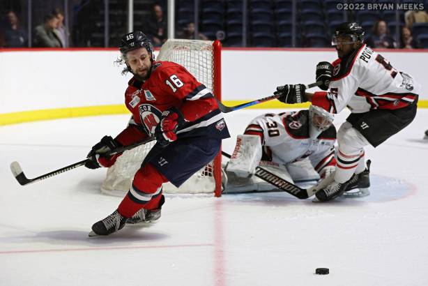 Macon Mayhem 220113_DN_IMG_2296_MHP