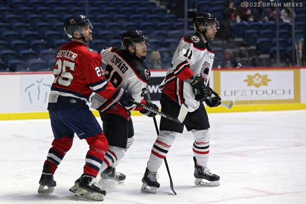 Macon Mayhem 220113_DN_IMG_0598_MHP