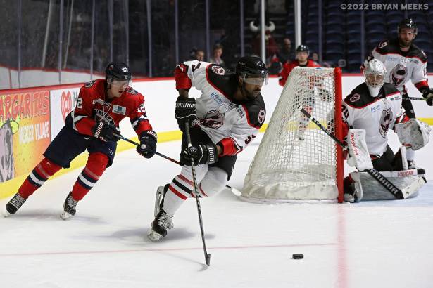 Macon Mayhem 220113_DN_IMG_2494_MHP