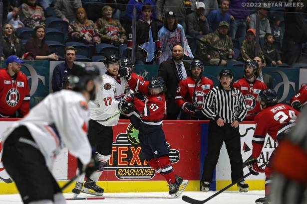 Macon Mayhem 220114_DN_IMG_2259_MHP