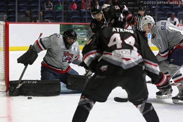 Macon Mayhem 220325_DN_IMG_2131_MHP